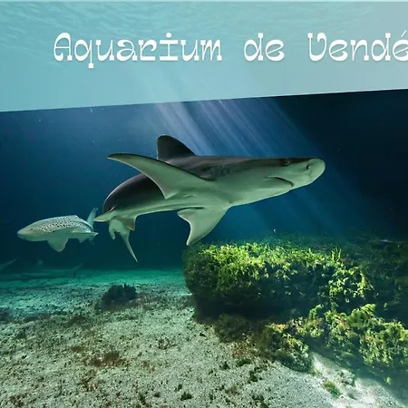 公寓 L'appart Du - 2a5p - Parking - Acces Piscine *